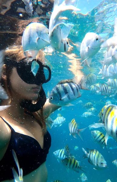 Colourful tropical reef fish in the clear Caribbean water at Little Bay, St. Maarten